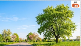 UP Weather Update: यूपी में 17 मार्च से पलट जाएगा मौसम... अगले 48 घंटे ऐसा रहेगा हाल UP Weather Update