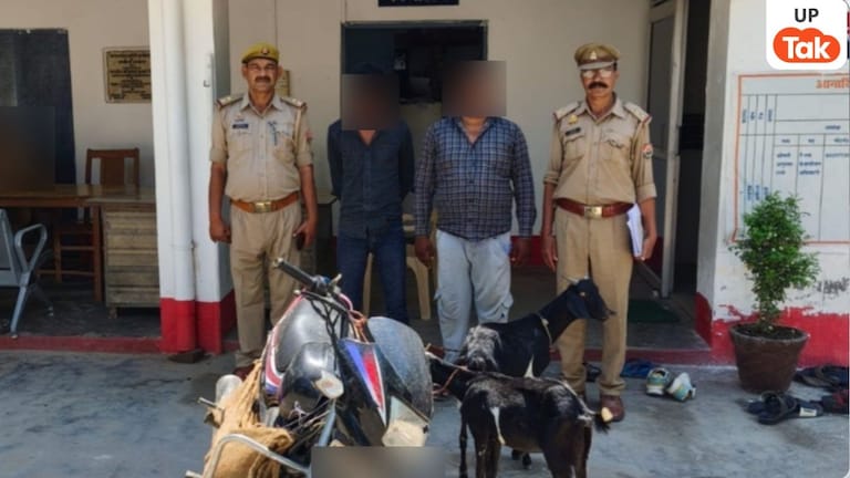 Amethi Goat Theft Gang: अमेठी में बकरी चोरी गैंग का भंडाफोड़: पुलिस ने दबोचे शातिर चोर, 13 मुकदमों वाला आरोपी भी शामिल UP Tak