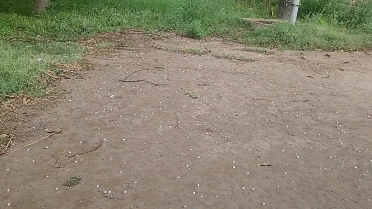 सहारनपुर में बेमौसम बारिश ने बढ़ाई किसानों की चिंता, कटाई से पहले फसल पर मंडराया संकट तो डीएम बोले- मिलेगा मुआवजा