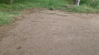 सहारनपुर में बेमौसम बारिश ने बढ़ाई किसानों की चिंता, कटाई से पहले फसल पर मंडराया संकट तो डीएम बोले- मिलेगा मुआवजा Saharanpur News