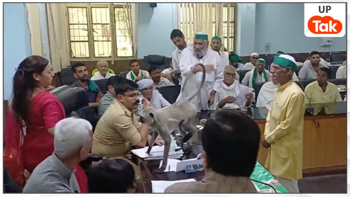 कौन हैं बागपत डीएम IAS अस्मिता लाल जिनकी कुर्सी के पास आया लंगूर तो उन्होंने कहा- बैठो इधर बैठो Baghpat News