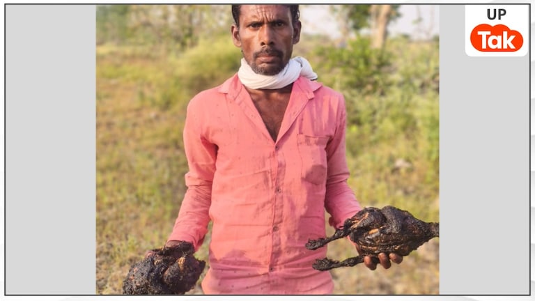 हमीरपुर में 4000 मुर्गे जिंदा जले, रोस्टेड चिकन के लिए मच गई लूट... आमिर कुरैशी का हुआ 100000 रुपये की नुकसान Hamirpur News