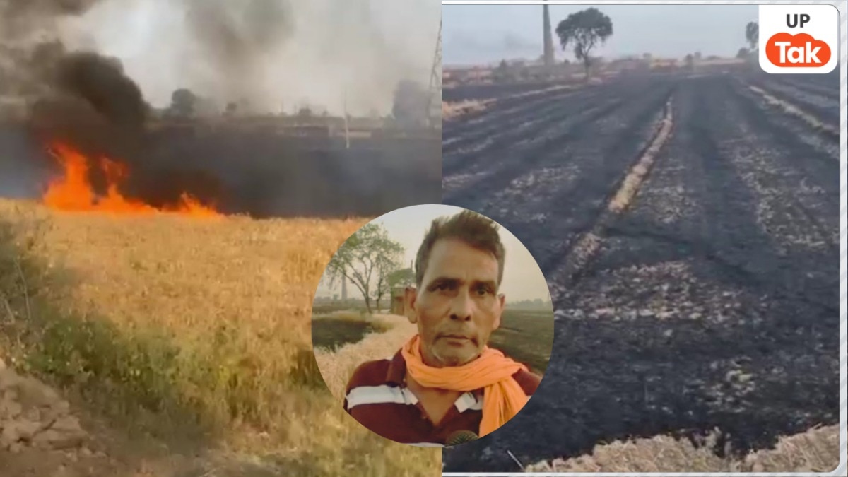 कटाई से पहले ही जल गई बागपत के किसान राजकिशोर की 30 बीघा गेहूं की फसल, रो-रोकर बुरा हाल