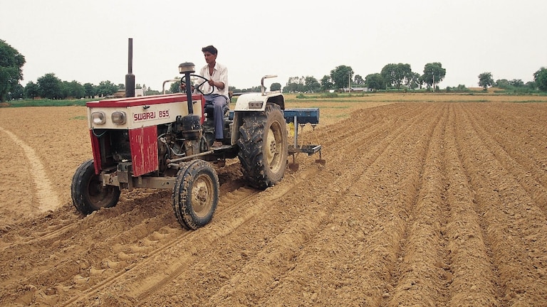 बरेली के 1.20 लाख किसानों को बड़ी राहत, बिना फार्मर रजिस्ट्री के होगी गेहूं खरीद Bareilly News