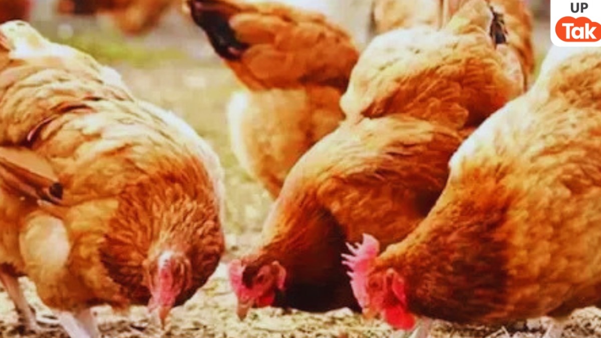 Sultanpur, Sultanpur News, Sultanpur viral news, up news, सुल्तानपुर