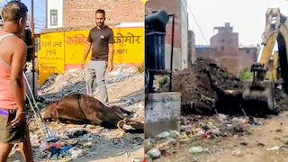 Ballia Viral Video: बलिया में बस्ती के बीच मृत गाय को जेसीबी से दफनाया, वीडियो वायरल से मचा बवाल UP News