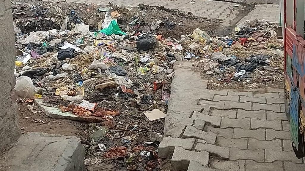 Mathura News: राया की जामा मस्जिद क्षेत्र में जलभराव से हाहाकार, गंदे पानी और बदबू से लोग परेशान Raya Waterlogging News