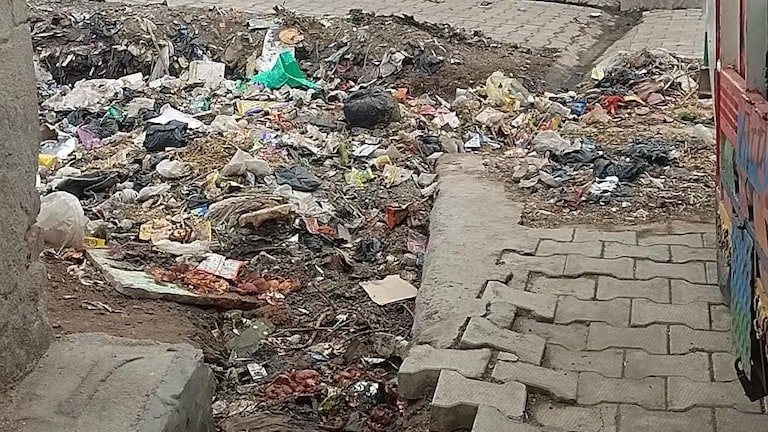 Mathura News: राया की जामा मस्जिद क्षेत्र में जलभराव से हाहाकार, गंदे पानी और बदबू से लोग परेशान Raya Waterlogging News