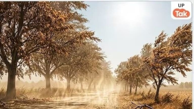UP Weather Update: यूपी में 19 से 23 मई तक पूरे प्रदेश में चलेगी भीषण लू... इन जिलों में अलर्ट जारी UP Weather Update