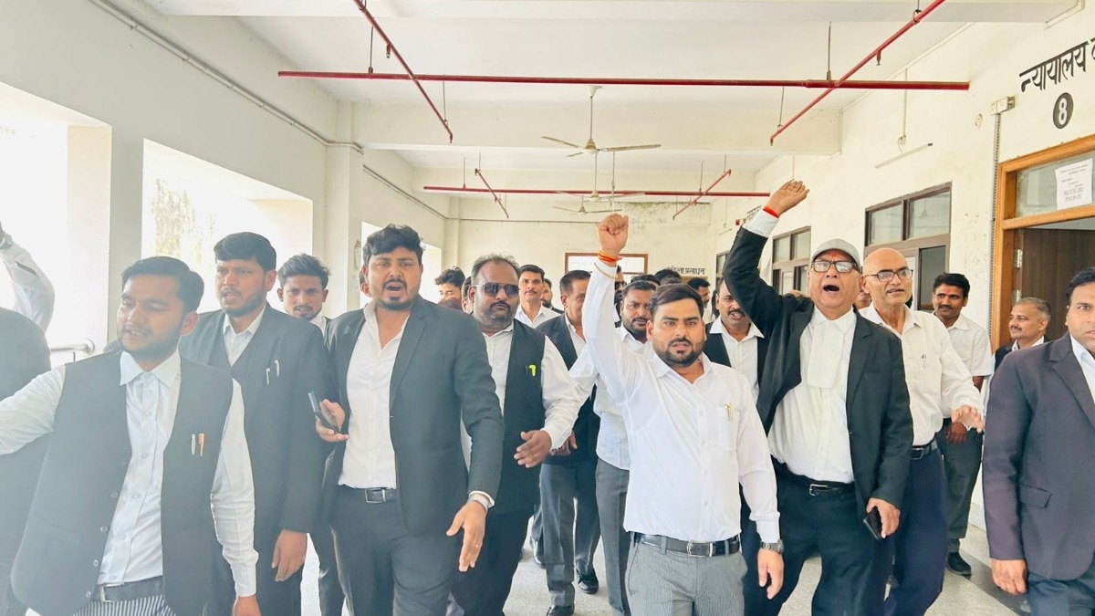 Lawyer's Protest News 