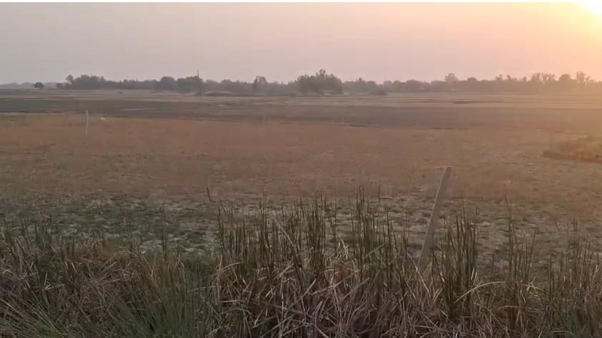 Amethi News: अमेठी में भूमाफियाओं पर बड़ा एक्शन, बिना अनुमति प्लॉटिंग करने वाले प्रॉपर्टी डीलरों पर होगी सख्त कार्रवाई Amethi Anti Land Mafia Campaign