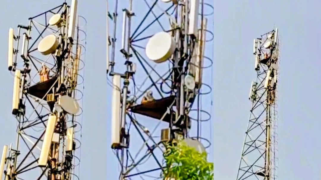  Ballia news: बलिया में हाई वोल्टेज ड्रामा, पति की दूसरी शादी से नाराज पत्नी चढ़ी मोबाइल टावर पर, 4 घंटे से मची अफरा-तफरी