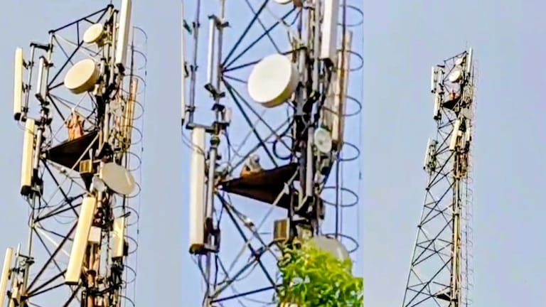 Ballia news: बलिया में हाई वोल्टेज ड्रामा, पति की दूसरी शादी से नाराज पत्नी चढ़ी मोबाइल टावर पर, 4 घंटे से मची अफरा-तफरी Ballia Police Rescue Operation