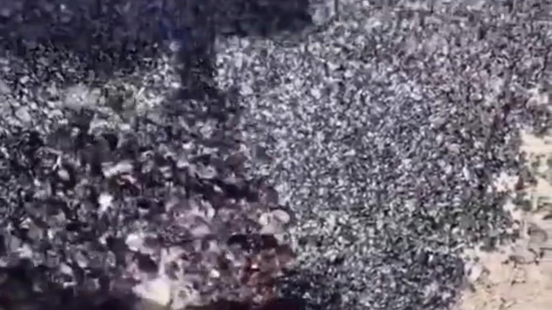 Amethi Road Viral Video Case