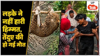 बिना डरे वो आधे घंटे तक लड़ता रहा... कुछ देर बाद तेंदुए की चली गई जान, युवक बच गया जिंदा! Shravasti News