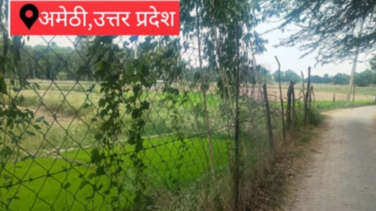 Amethi News: खेतों में करंट वाली बाड़ लगाना गैरकानूनी, हादसे पर हो सकती है जेल- अधीक्षण अभियंता खेतों में करंट वाली बाड़ लगाना गैरकानूनी, हादसे पर हो सकती है जेल अधीक्षण अभियंता