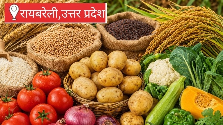 मौसम साफ होने से किसानों को बड़ी राहत, कई फसलों के भाव में आई मजबूती