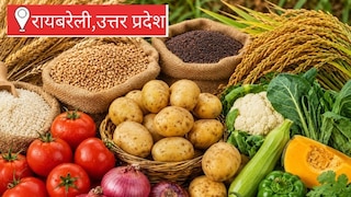 Raebareli News: मौसम साफ होने से किसानों को बड़ी राहत, कई फसलों के भाव में आई मजबूती मौसम साफ होने से किसानों को बड़ी राहत, कई फसलों के भाव में आई मजबूती