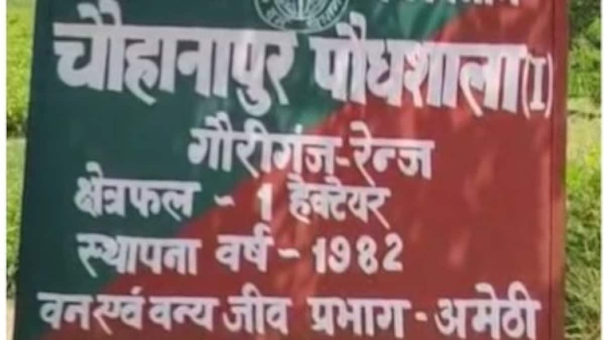 Amethi News: अमेठी में स्थापित होंगे विशिष्ट वन, शहीदों के नाम पर बनेगा वंदेमातरम वन अमेठी में स्थापित होंगे विशिष्ट वन, शहीदों के नाम पर बनेगा वंदेमातरम वन