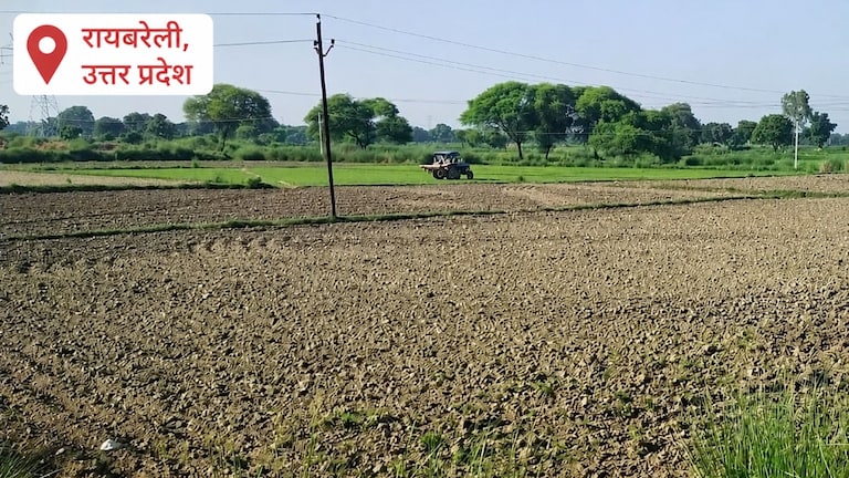 Raebareli Weather Update: रायबरेली में मौसम की बेरुखी: बूंदाबांदी के बाद फिर बढ़ी उमस, धान की रोपाई पर संकट, किसान बारिश के इंतजार में रायबरेली में मौसम की बेरुखी: बूंदाबांदी के बाद फिर बढ़ी उमस, धान की रोपाई पर संकट, किसान बारिश के इंतजार में