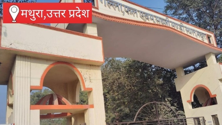 मथुरा बड़ी मंडी, खाद्य सामग्री के बाजार में सामान्य कारोबार, दालों में मजबूती, आटा-चावल के भाव स्थिर