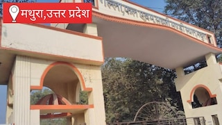 Mathura Mandi Bhav 30 June: मथुरा बड़ी मंडी, खाद्य सामग्री के बाजार में सामान्य कारोबार, दालों में मजबूती, आटा-चावल के भाव स्थिर मथुरा बड़ी मंडी, खाद्य सामग्री के बाजार में सामान्य कारोबार, दालों में मजबूती, आटा-चावल के भाव स्थिर