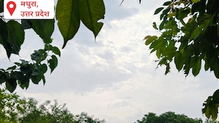 Mathura Weather Today: मथुरा में आज मानसून रहेगा सक्रिय, बादल, बारिश और उमस के बीच गर्मी से मिलेगी राहत मथुरा में आज मानसून रहेगा सक्रिय, बादल, बारिश और उमस के बीच गर्मी से मिलेगी राहत
