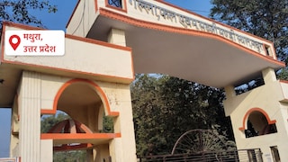 Mathura Mandi Bhav : मथुरा बड़ी मंडी, जानिए जिले में आज अनाज, तेलहन और फल का क्या है भाव मथुरा बड़ी मंडी, जानिए जिले में आज अनाज, तेलहन और फल का क्या है भाव