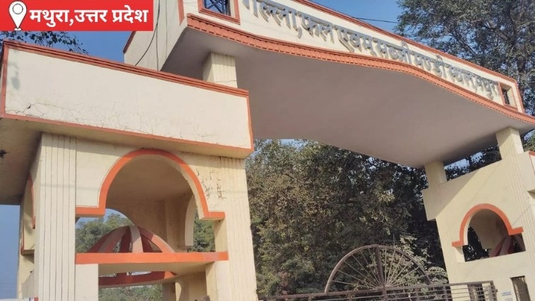 मथुरा की बड़ी थोक मंडी में आज कारोबार रहेगा सामान्य से बेहतर, फल-सब्जियों की आवक बढ़ने से खरीदारी में आएगी तेजी