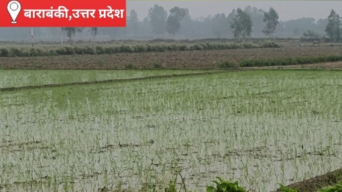 सूखी पड़ी शारदा सहायक नहर की शाखा, धान की रोपाई पर मंडराया संकट, डीजल इंजन से सिंचाई को मजबूर किसान 