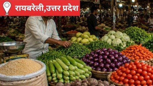 Raebareli Mandi Bhav: आज सरसों और टमाटर ने पकड़ी रफ्तार, गेहूं-धान में नहीं आया बड़ा बदलाव; किसानों को बेहतर मुनाफे की आस