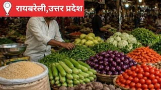 Raebareli Mandi Bhav: आज सरसों और टमाटर ने पकड़ी रफ्तार, गेहूं-धान में नहीं आया बड़ा बदलाव; किसानों को बेहतर मुनाफे की आस आज सरसों और टमाटर ने पकड़ी रफ्तार, गेहूं-धान में नहीं आया बड़ा बदलाव, किसानों को बेहतर मुनाफे की आस