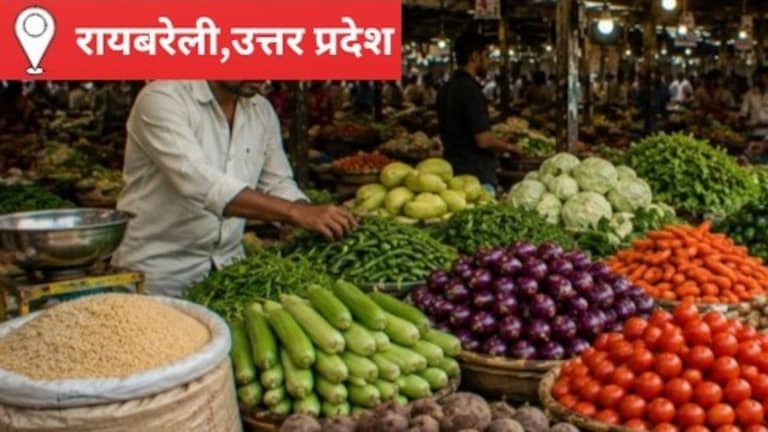 Raebareli Mandi Bhav: आज सरसों और टमाटर ने पकड़ी रफ्तार, गेहूं-धान में नहीं आया बड़ा बदलाव; किसानों को बेहतर मुनाफे की आस आज सरसों और टमाटर ने पकड़ी रफ्तार, गेहूं-धान में नहीं आया बड़ा बदलाव, किसानों को बेहतर मुनाफे की आस