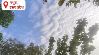 Mathura Weather Today 3 July 2026: मथुरा में आज मौसम रहेगा सुहाना, धूप-बादलों के बीच बारिश के आसार, जानिए मौसम विशेषज्ञों का क्या कहना है मथुरा में आज मौसम रहेगा सुहाना, धूप-बादलों के बीच बारिश के आसार, जानिए मौसम विशेषज्ञों का क्या कहना है