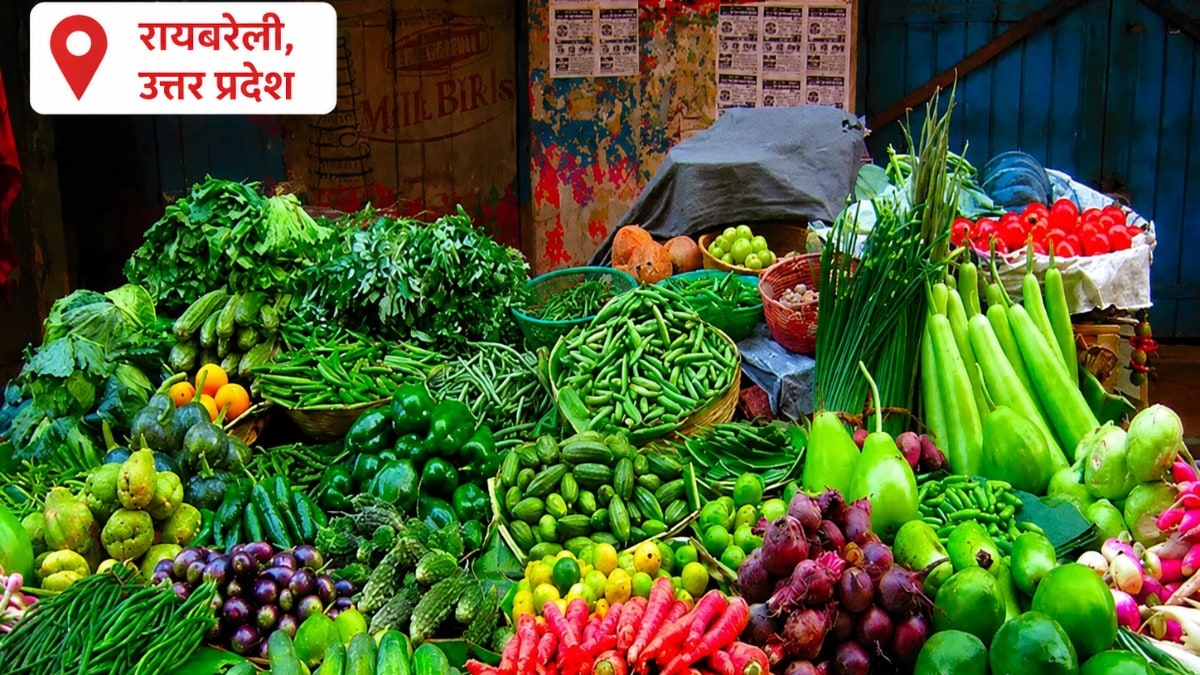 Raebareli Mandi Bhav Today: टमाटर 60 रुपये किलो पहुंचा, अदरक-लहसुन के दाम में उछाल; जानिए आज के ताजा मंडी भाव टमाटर 60 रुपये किलो पहुंचा, अदरक-लहसुन के दाम में उछाल,जानिए आज के ताजा मंडी भाव