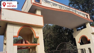 Mathura Mandi Bhav Today: मौसम के असर के बावजूद मथुरा मंडी में आज कारोबार सामान्य, अनाज-तिलहन में नहीं दिखा बड़ा उतार-चढ़ाव मौसम के असर के बावजूद मथुरा मंडी में आज कारोबार सामान्य, अनाज-तिलहन में नहीं दिखा बड़ा उतार-चढ़ाव