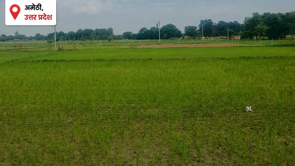 Amethi Weather Today: बारिश की बेरुखी से किसान परेशान, बढ़ती गर्मी ने बढ़ाई किसानों की परेशानी, नलकूपों के सहारे सिंचाई बारिश की बेरुखी से किसान परेशान, बढ़ती गर्मी ने बढ़ाई किसानों की परेशानी, नलकूपों के सहारे सिंचाई