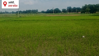 Amethi Weather Today: बारिश की बेरुखी से किसान परेशान, बढ़ती गर्मी ने बढ़ाई किसानों की परेशानी, नलकूपों के सहारे सिंचाई बारिश की बेरुखी से किसान परेशान, बढ़ती गर्मी ने बढ़ाई किसानों की परेशानी, नलकूपों के सहारे सिंचाई