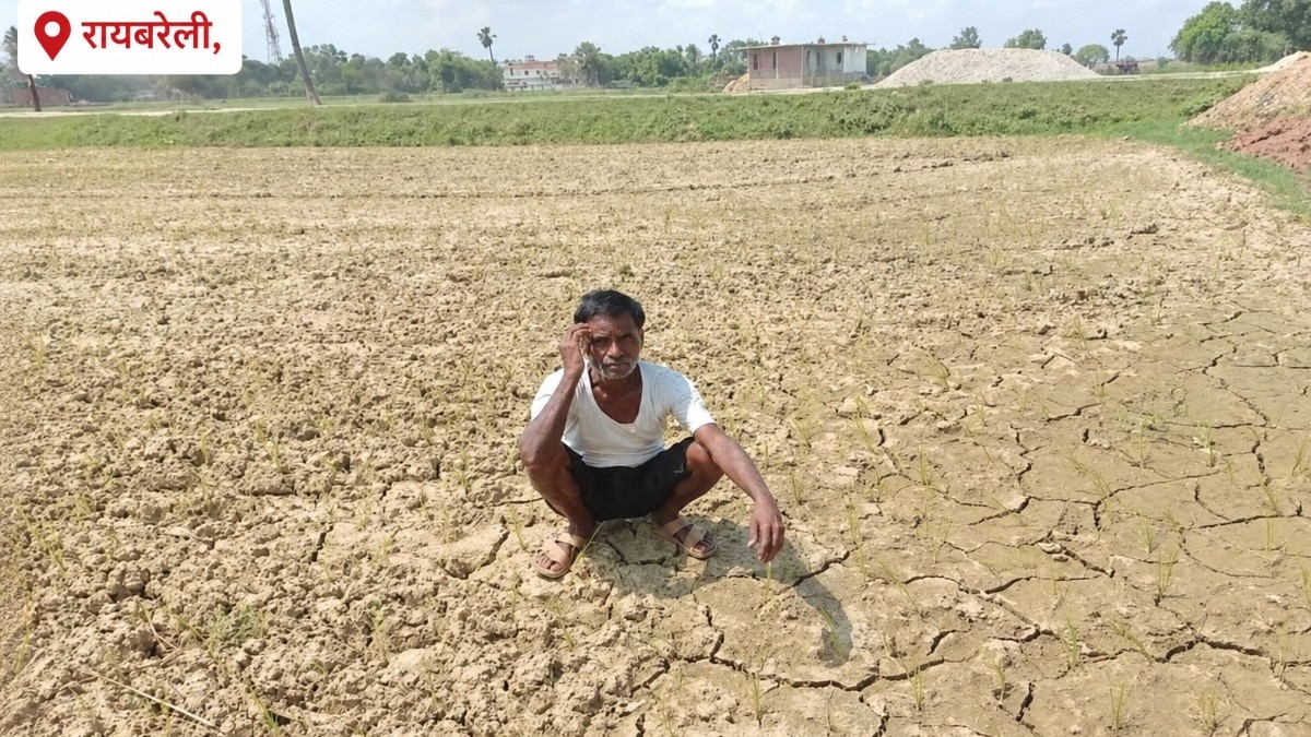 Raebareli Weather  Today: मानसून की बेरुखी, रायबरेली में मानसून की देरी बनी आफत, धान की रोपाई अटकी, छोटे किसान सबसे ज्यादा प्रभावित