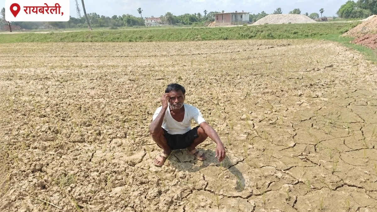 Raebareli Weather Today: मानसून की बेरुखी, रायबरेली में मानसून की देरी बनी आफत, धान की रोपाई अटकी, छोटे किसान सबसे ज्यादा प्रभावित मानसून की बेरुखी, रायबरेली में मानसून की देरी बनी आफत, धान की रोपाई अटकी, छोटे किसान सबसे ज्यादा प्रभावित