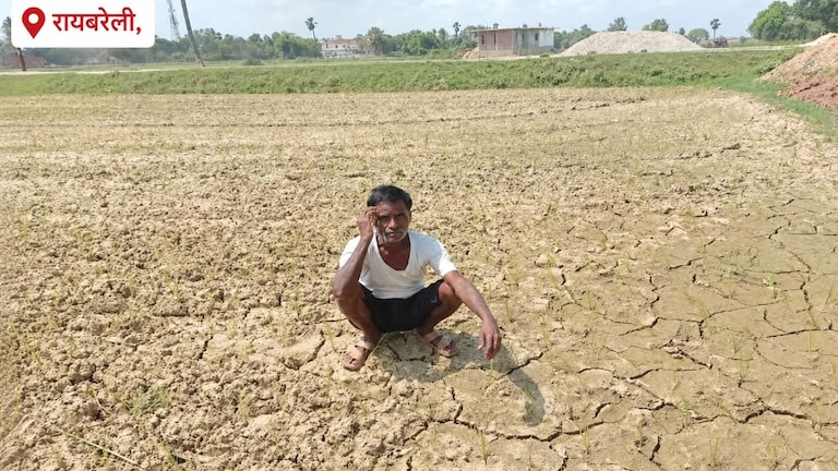 Raebareli Weather Today: मानसून की बेरुखी, रायबरेली में मानसून की देरी बनी आफत, धान की रोपाई अटकी, छोटे किसान सबसे ज्यादा प्रभावित मानसून की बेरुखी, रायबरेली में मानसून की देरी बनी आफत, धान की रोपाई अटकी, छोटे किसान सबसे ज्यादा प्रभावित