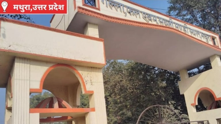 Mathura Mandi Bhav Today: मानसूनी आवक का असर, मथुरा मंडी में सब्जियों के भाव स्थिर, खरीदारी बढ़ने के संकेत, जानिए आज का भाव मानसूनी आवक का असर, मथुरा मंडी में सब्जियों के भाव स्थिर, खरीदारी बढ़ने के संकेत, जानिए आज का भाव
