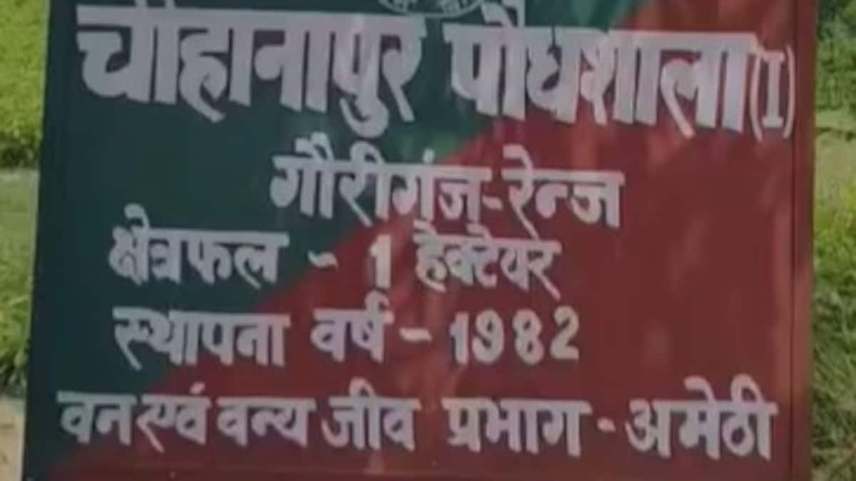 Amethi News: 12 जुलाई को एक पेड़ मां के नाम थीम पर होगा वृहद वृक्षारोपण, अमेठी में 53.66 लाख पौधे रोपित करने का लक्ष्य 12 जुलाई को एक पेड़ मां के नाम थीम पर होगा वृहद वृक्षारोपण, अमेठी में 53.66 लाख पौधे रोपित करने का लक्ष्य