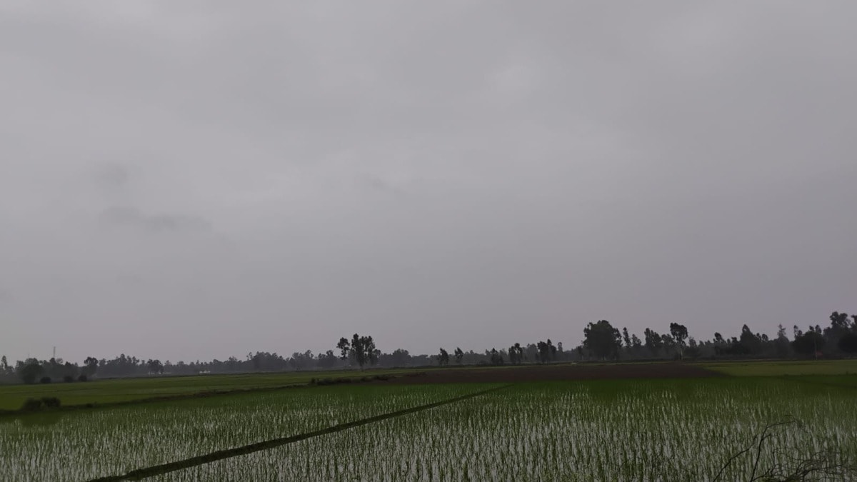 Barabanki Weather Today: बाराबंकी में मेहरबान हुआ मानसून रात से छाए काले बादल, कई इलाकों में हल्की बारिश, जानिए अगले 24 घंटे कैसा रहने वाला है मौसम बाराबंकी में मेहरबान हुआ मानसून: रात से छाए काले बादल, कई इलाकों में हल्की बारिश, जानिए अगले 24 घंटे कैसा रहने वाला है मौसम