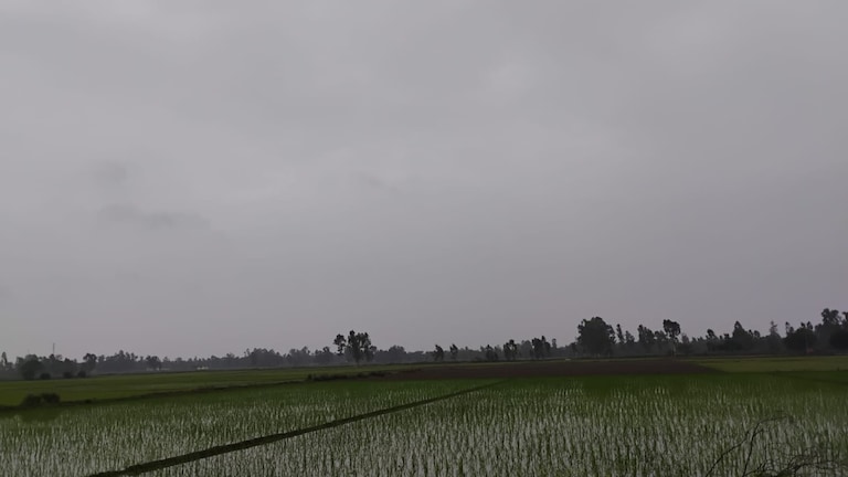Barabanki Weather Today: बाराबंकी में मेहरबान हुआ मानसून रात से छाए काले बादल, कई इलाकों में हल्की बारिश, जानिए अगले 24 घंटे कैसा रहने वाला है मौसम बाराबंकी में मेहरबान हुआ मानसून: रात से छाए काले बादल, कई इलाकों में हल्की बारिश, जानिए अगले 24 घंटे कैसा रहने वाला है मौसम
