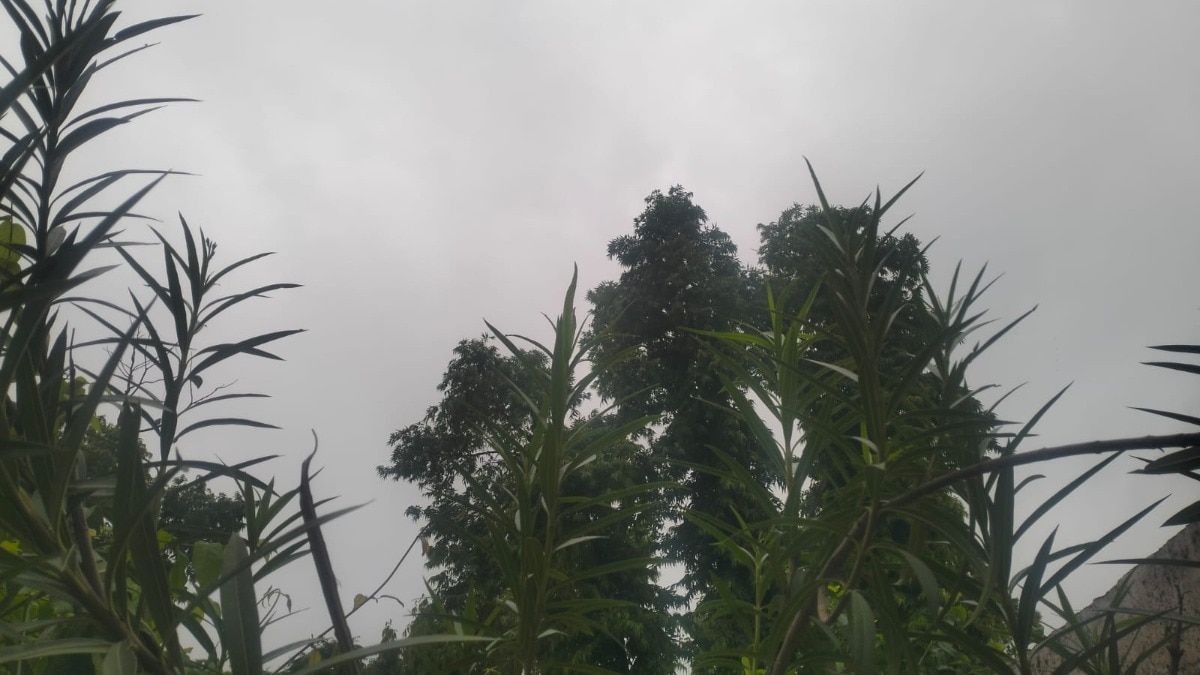  झमाझम बारिश के बाद रायबरेली में आज भी छाए रहे बादल, बीते दिन की बारिश से तापमान में गिरावट