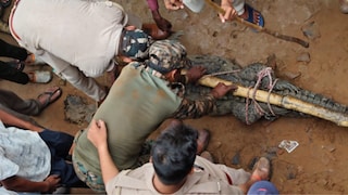 Mirzapur News: नहर से निकलकर घर में घुसने लगा 7 फीट का विशाल मगरमच्छ, कुत्तों के भौंकने से खुला राज, रेस्क्यू ऑपरेशन कैमरे में कैद नहर से निकलकर घर में घुसने लगा 7 फीट का विशाल मगरमच्छ, कुत्तों के भौंकने से खुला राज, रेस्क्यू ऑपरेशन कैमरे में कैद