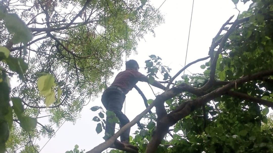 Mathura News : एक फॉल्ट, तीन दर्जन गांव बेहाल, फरह उपकेंद्र से जुड़े गांवों की 24 घंटे बिजली गुल, बारिश के बीच लोग रहे परेशान