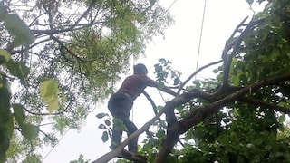 Mathura News : एक फॉल्ट, तीन दर्जन गांव बेहाल, फरह उपकेंद्र से जुड़े गांवों की 24 घंटे बिजली गुल, बारिश के बीच लोग रहे परेशान एक फॉल्ट, तीन दर्जन गांव बेहाल: फरह उपकेंद्र से जुड़े गांवों की 24 घंटे बिजली गुल, बारिश के बीच लोग रहे परेशान