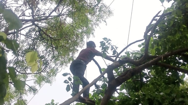 Mathura News : एक फॉल्ट, तीन दर्जन गांव बेहाल, फरह उपकेंद्र से जुड़े गांवों की 24 घंटे बिजली गुल, बारिश के बीच लोग रहे परेशान एक फॉल्ट, तीन दर्जन गांव बेहाल: फरह उपकेंद्र से जुड़े गांवों की 24 घंटे बिजली गुल, बारिश के बीच लोग रहे परेशान